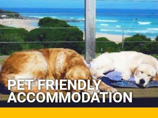 Pet Friendly Accommodation