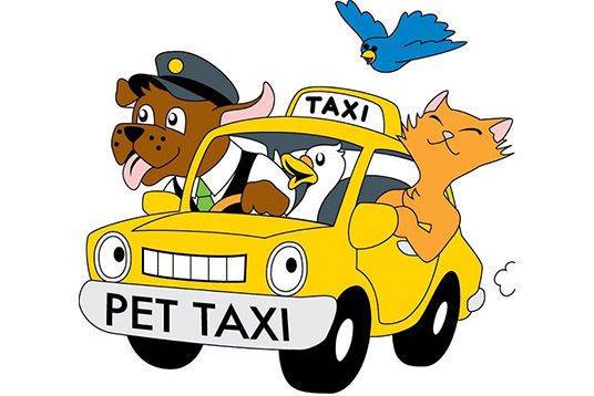 Animal Transport - Pet Friendly