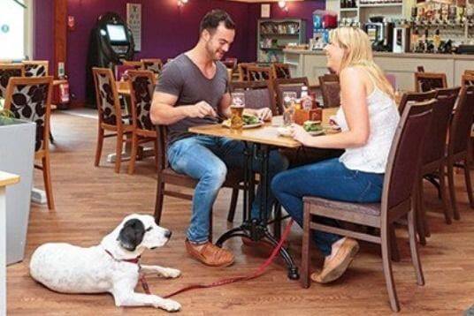 Pet Friendly Dining - Pet Friendly